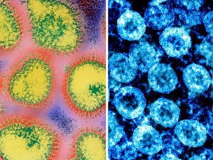 Virusul gripal obisnuit versus noul coronavirus